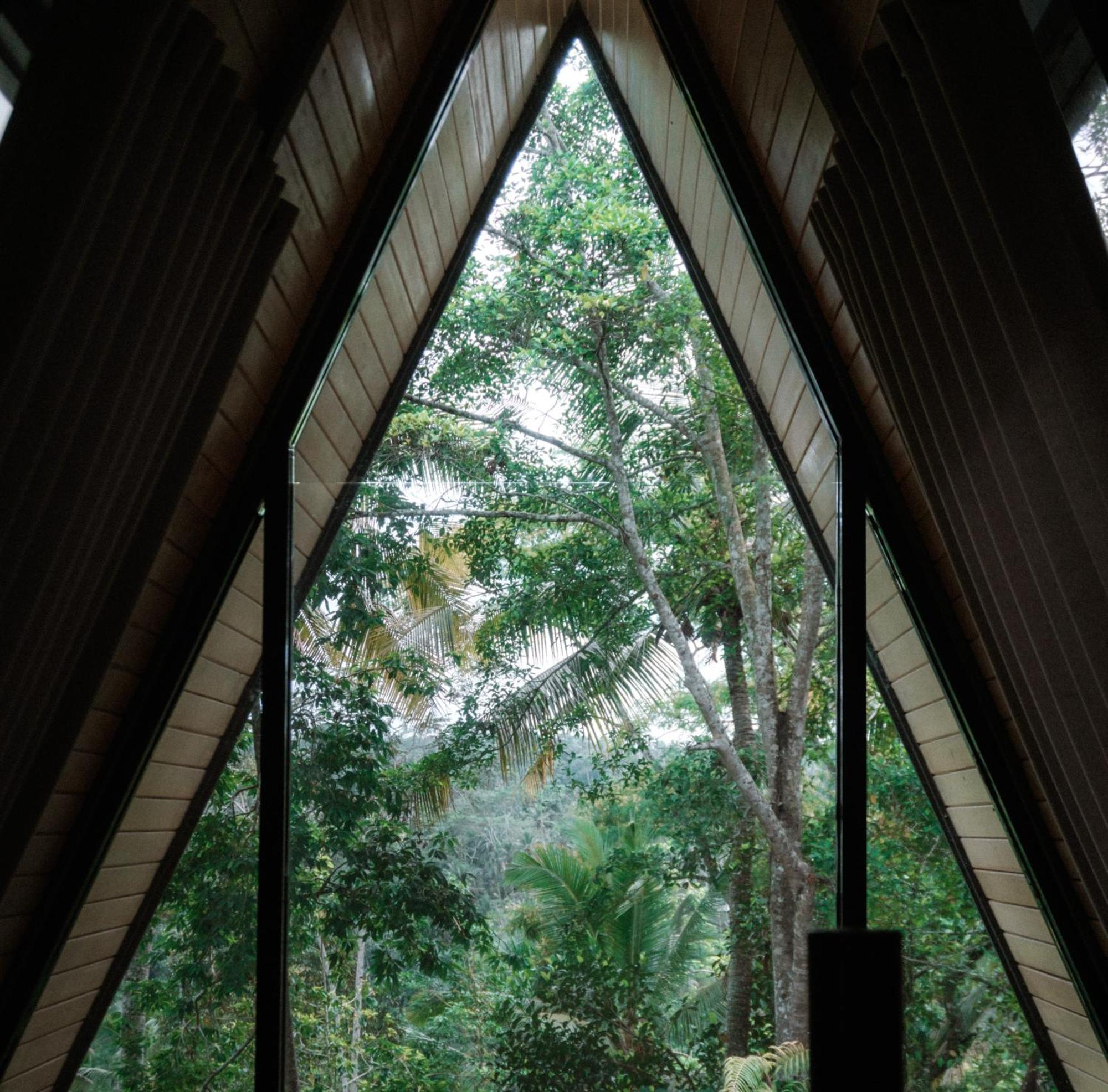 Delta Casa Ubud-Jungle Villas With Volcano View & Hot Tub 帕洋安 外观 照片
